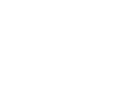 Evolution games at Wheelz Casino